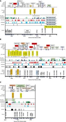 Haplotype Shuffling and Dimorphic Transposable Elements in the Human Extended Major Histocompatibility Complex Class II Region